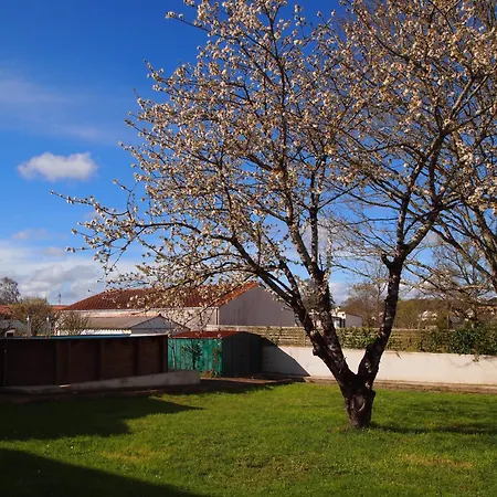 Grande Maison Pour 10 Avec Piscine Avrille (Vendee)